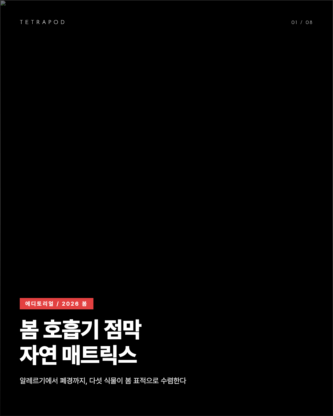 봄 호흡기 점막 자연 매트릭스 2026, 알레르기에서 폐경까지 다섯 식물 8장