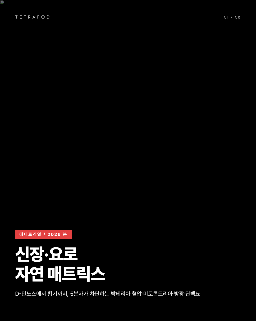 신장·요로 자연 매트릭스, 봄 2026 — D-만노스·히비스커스·CoQ10·호박씨·황기 8장