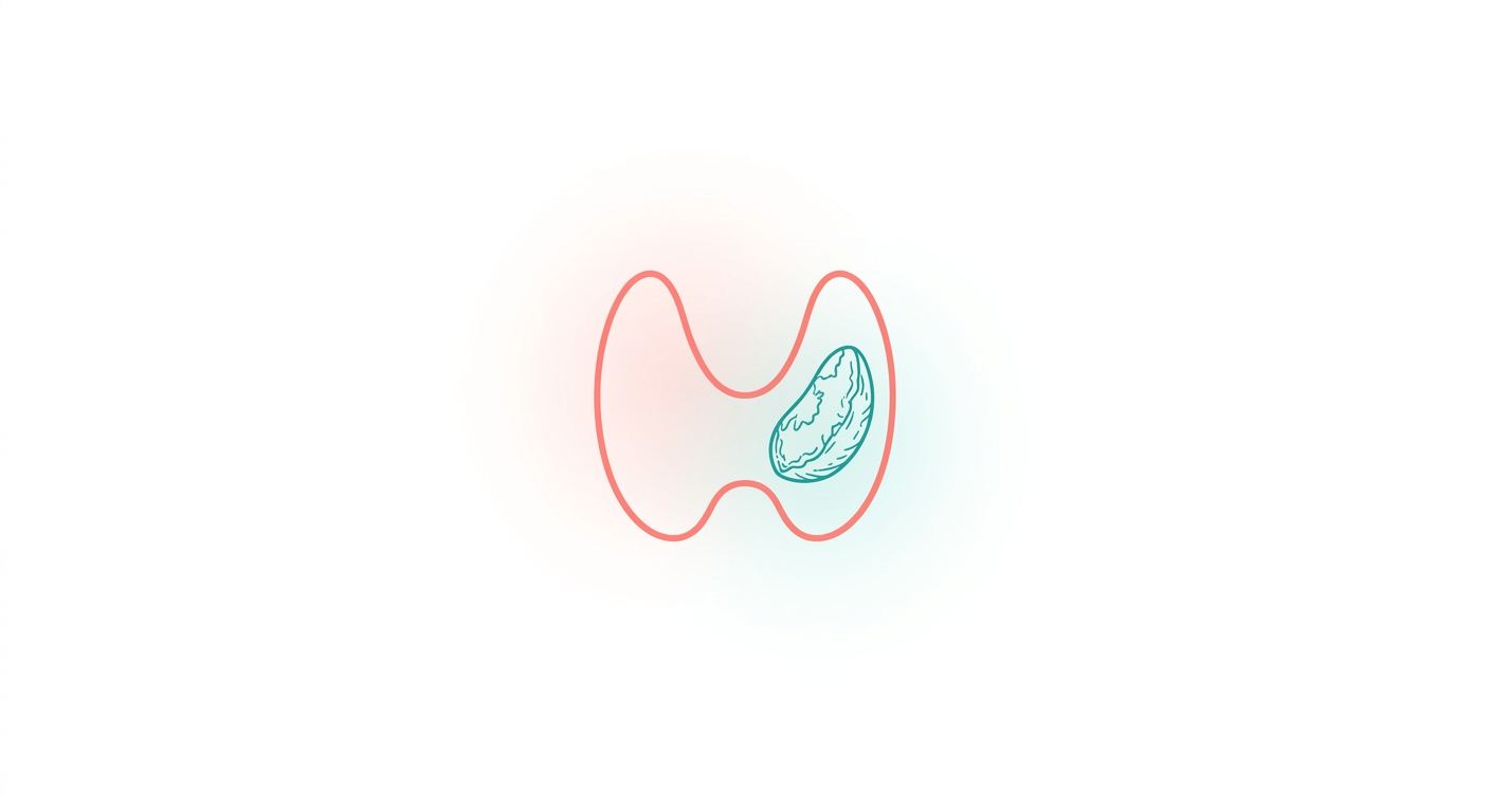 What Is Selenium? The Trace Mineral That Links Thyroid, Immunity, and Hair