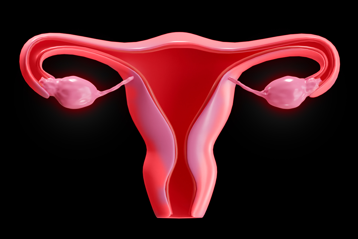 여성은 다르게 늙는다 — 장수 과학이 놓쳐온 절반의 이야기