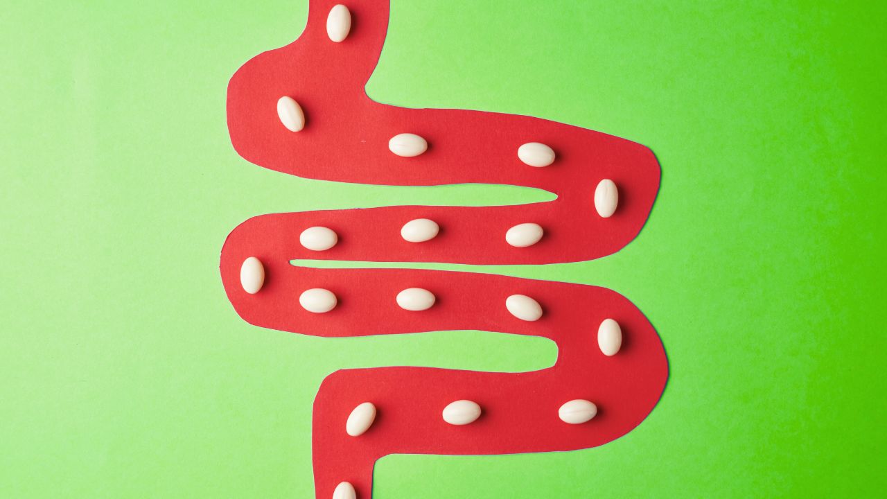 포스트바이오틱스, 프로바이오틱스 다음 세대가 온다