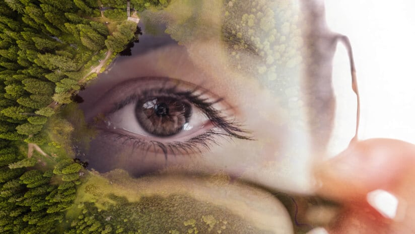 이너뷰티 보충제 시장, 전년 대비 17.3% 성장