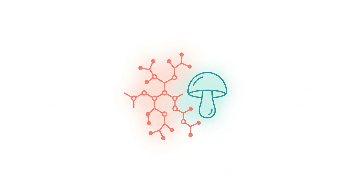 What Is Beta-Glucan? The Polysaccharide Rewriting Barrier Repair in 2026